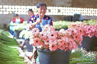 供應(yīng)鏈條長產(chǎn)品壽命短 鮮花電商能最終 盛開 嗎