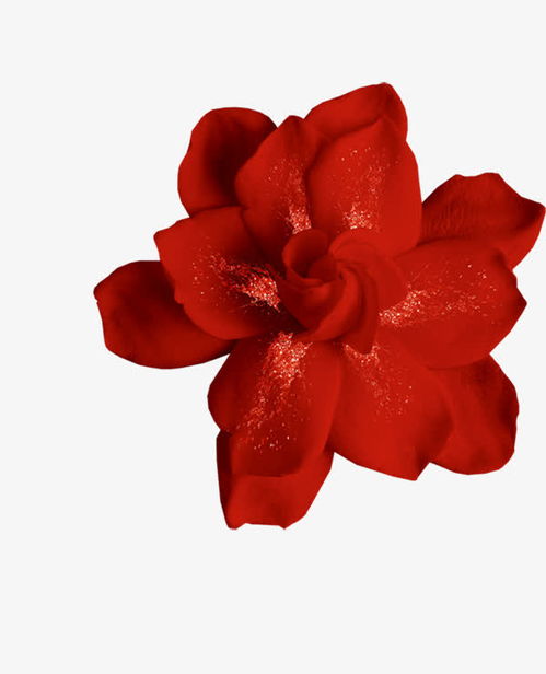 紅色的花高清素材 png 設計圖片 免費下載 頁面網頁 平面電商 創意素材 png素材 素材