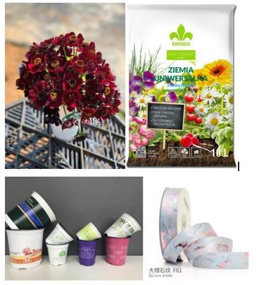 花城盛宴,百花爭艷 2020亞洲花卉產業博覽會8月3日開幕!