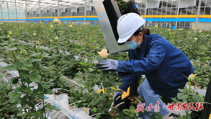 【隴上實干家】魯鴻宙:深耕現代花卉產業 以實干踐行責任與擔當