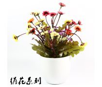 【汕頭盆景產(chǎn)品庫】_價格/圖片/廠家 - 廣東產(chǎn)品庫