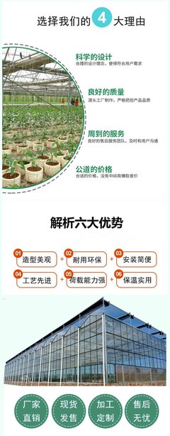 玻璃溫室DP-H 景農(nóng)農(nóng)業(yè)育苗玻璃大棚工程 花卉設(shè)計(jì)