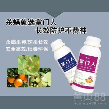 打花卉紅蜘蛛用什么藥打花卉紅蜘蛛的農藥殺螨劑生產廠家