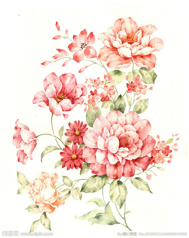 手繪花卉
