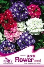 【美女種子】最新最全美女種子 產(chǎn)品參考信息