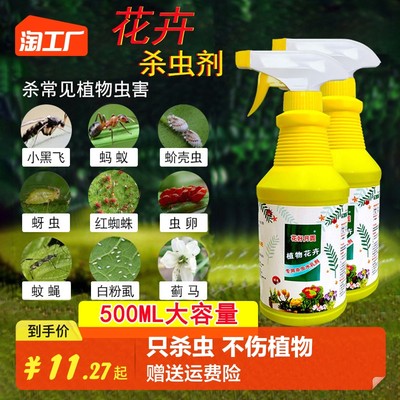 當(dāng)前網(wǎng)購流行產(chǎn)品
