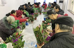 年宵花養護講座