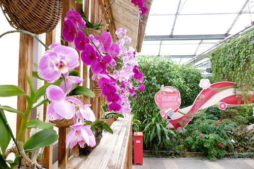 花卉大觀園