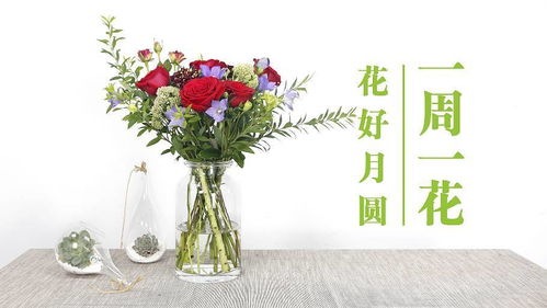 限時團購 今天的你,更適合買花